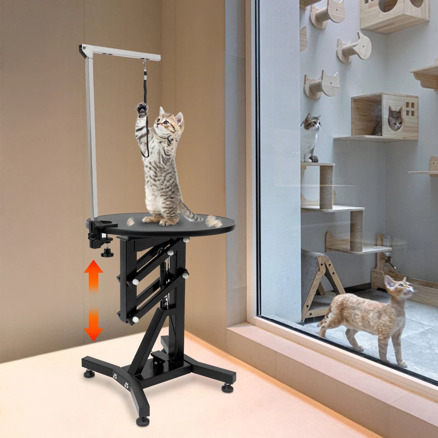 Height Adjustable Hydraulic Pet Grooming Table