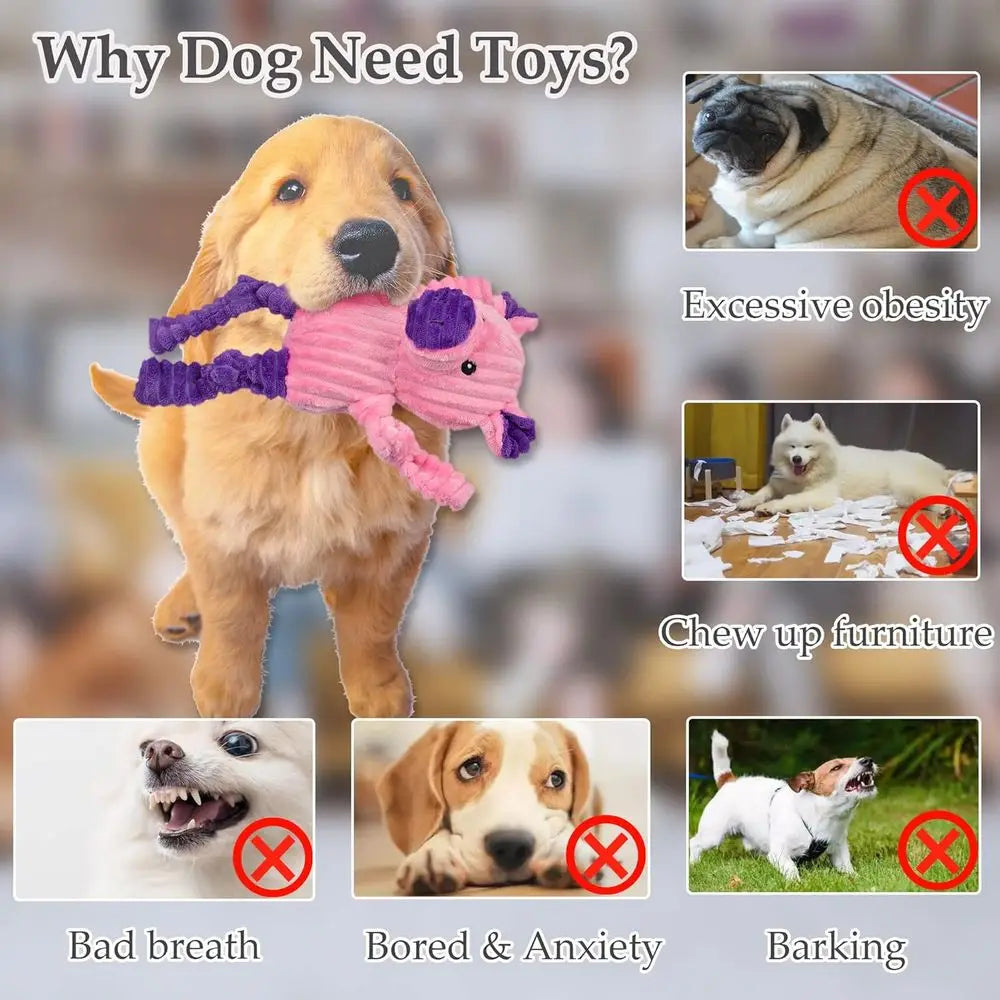 Tough Plush Squeaky Dog Toys Bundle Assortment Pack