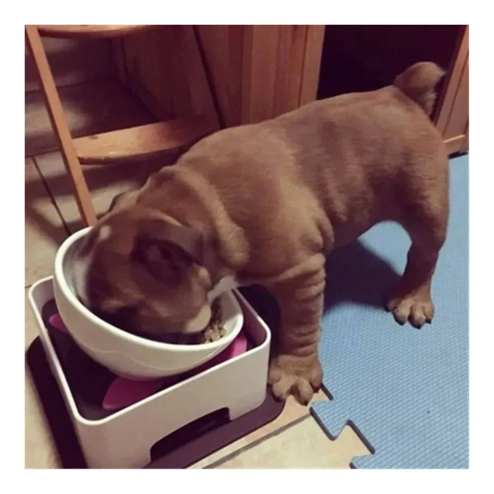 Universal Wide Mouth Tilted Dog Feeding Bowl With Anti Skid