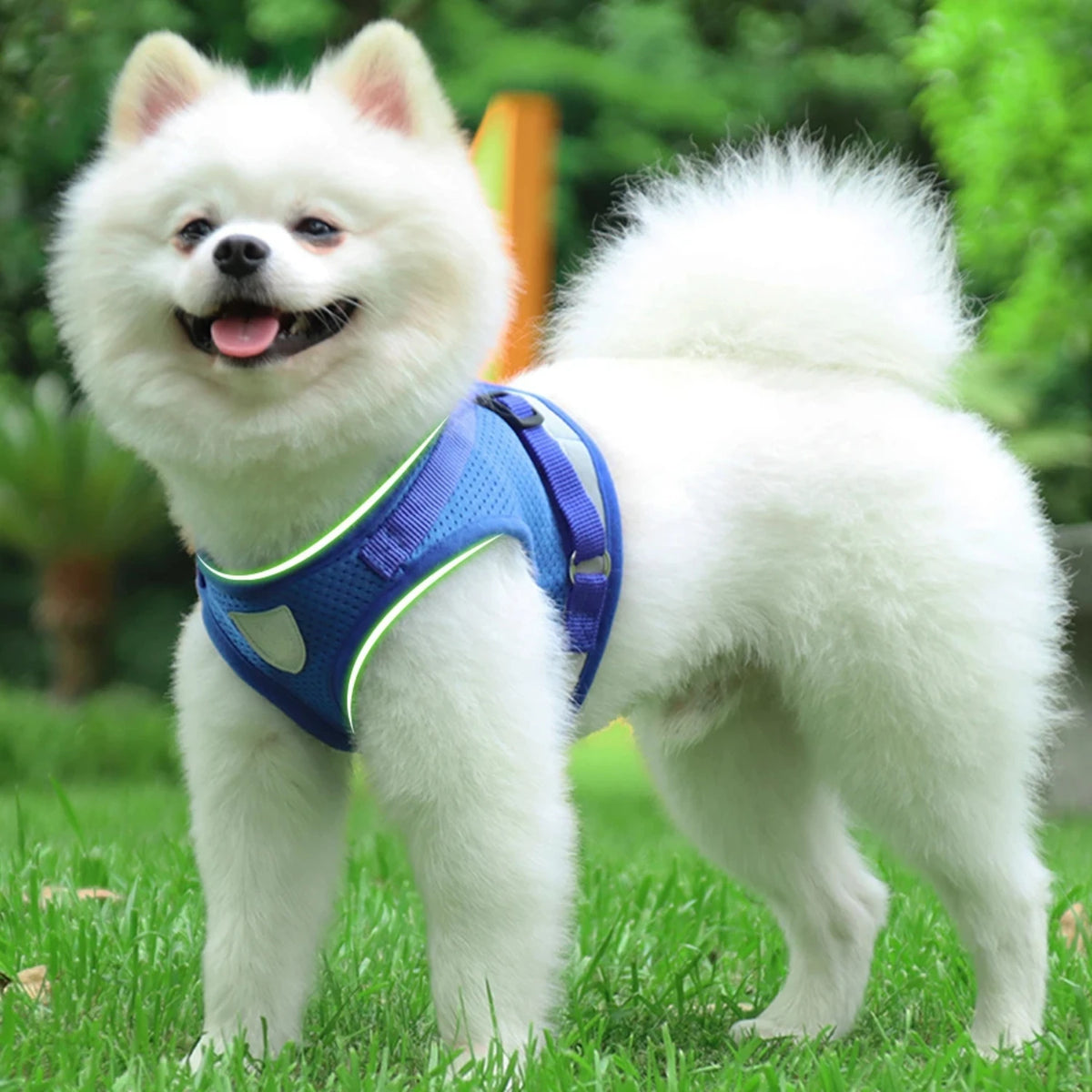 Reflective Adjustable Dog Cat Vest Harness With Leash