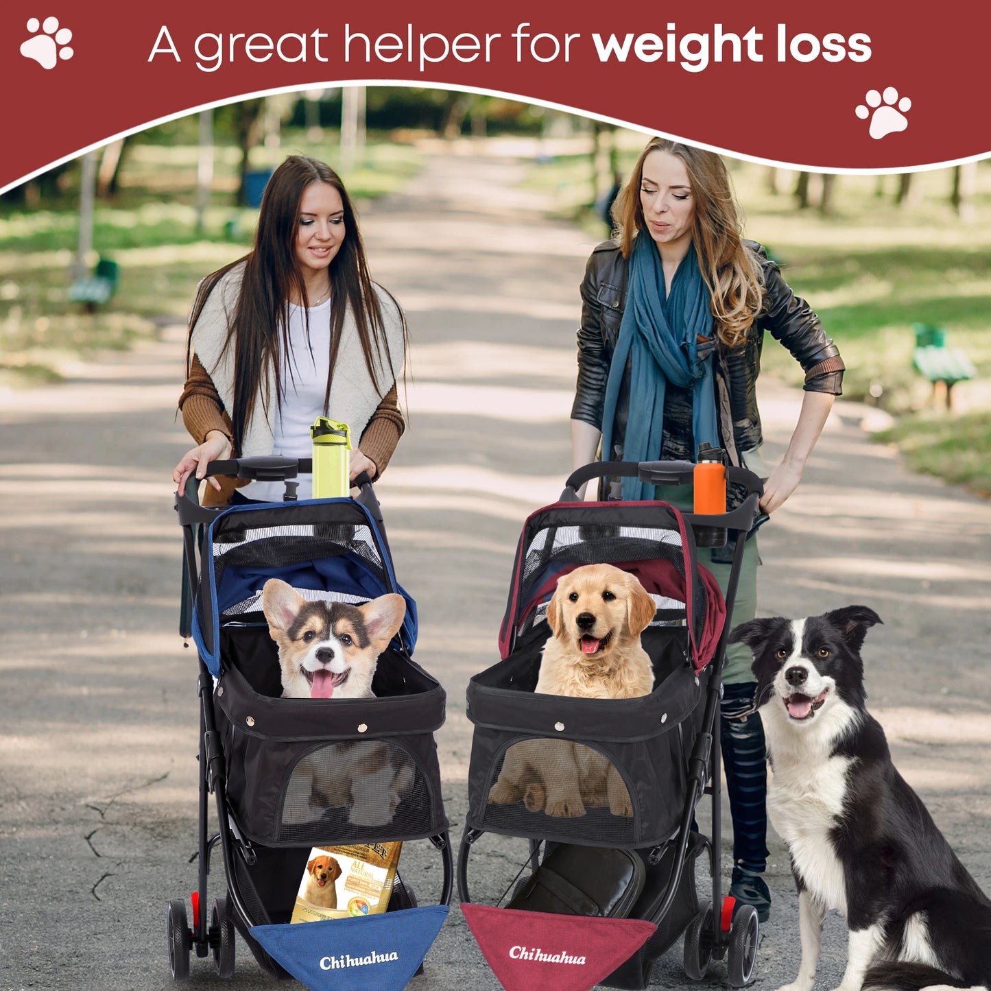 Chihuahua Pet Stroller For Cats Dogs Breathable Mesh Canopy