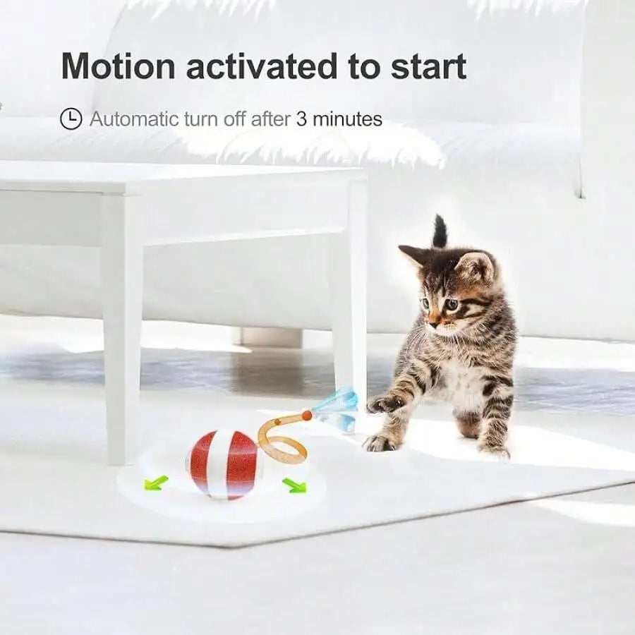 Interactive Cat Ball Toy With Elastic Mesh Tail Motion Activated