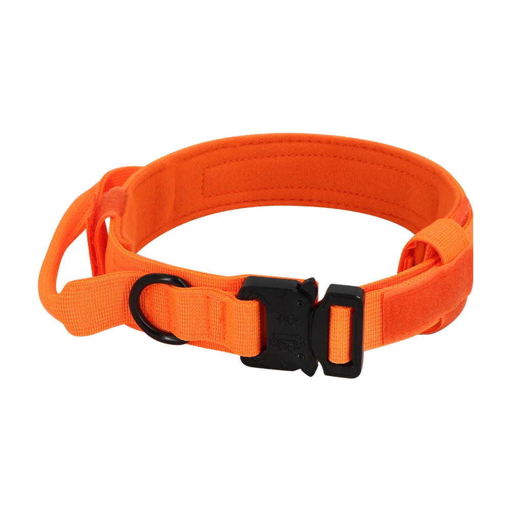 PETRAVEL Adjustable Dog Training Collar With Leash Set