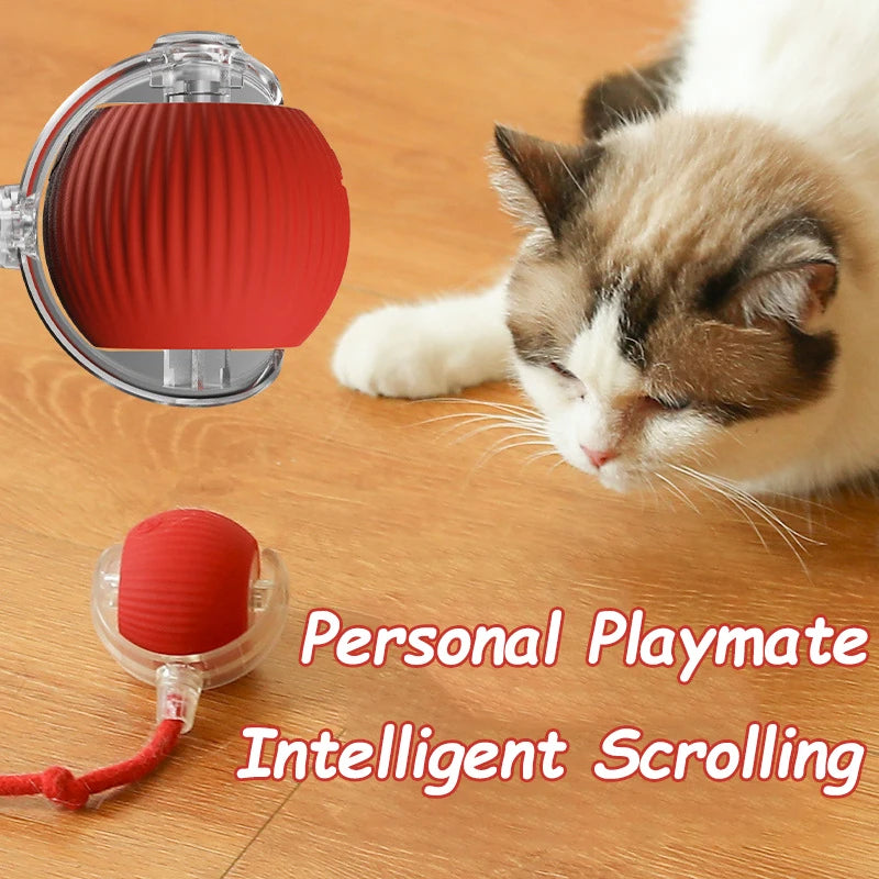 Rechargeable Smart Cat Interactive Rolling Ball Toy With Faux Tail