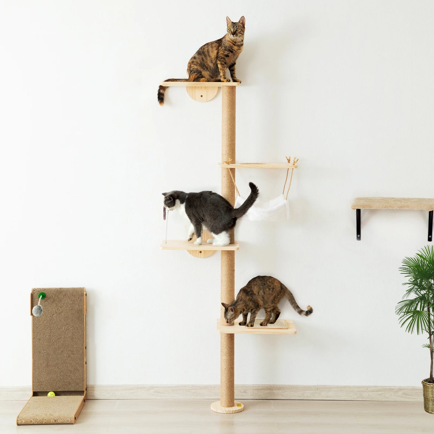 Wall Mounted Cat Scratching Pad With Hammock Tree Indoor