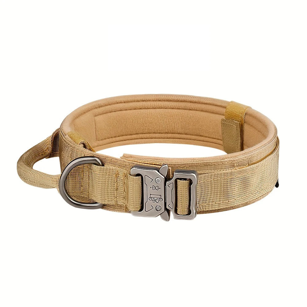 PETRAVEL Adjustable Dog Training Collar With Leash Set