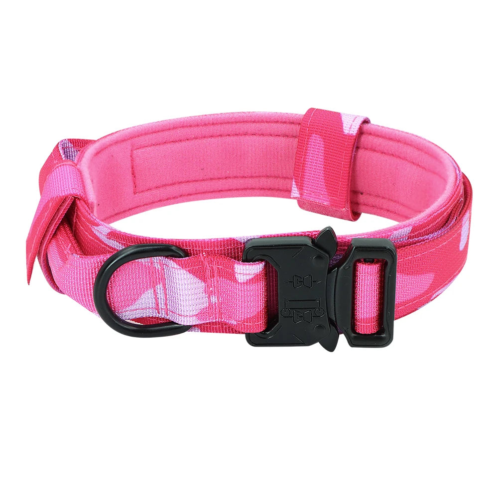 PETRAVEL Adjustable Dog Training Collar With Leash Set