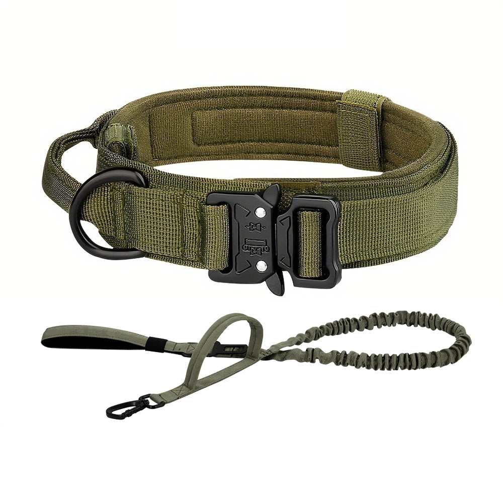 PETRAVEL Adjustable Dog Training Collar With Leash Set