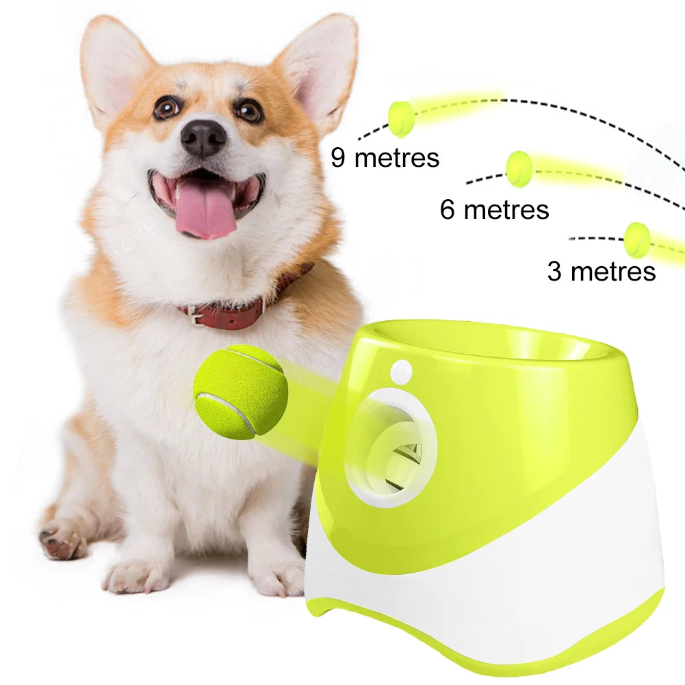 Automatic Dog Ball Launcher With Three Tennis Balls