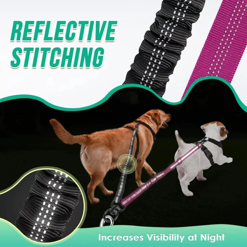 Dual Dog Leash Attachment With Adjustable Shock Absorbing Bungee
