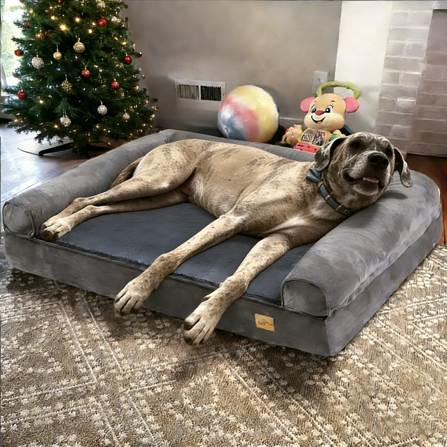 BORWART Calming Orthopedic Memory Foam Dog Bed With Removable Waterproof Cover
