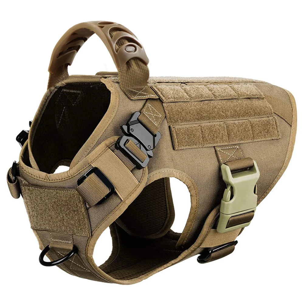 Durable Nylon Dog Harness And Leash Set For Training