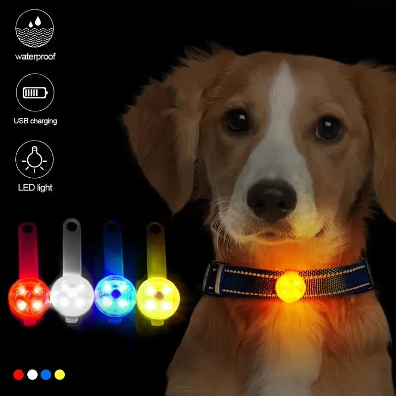 USB Rechargeable LED Dog Collar With Weatherproof Safety Light