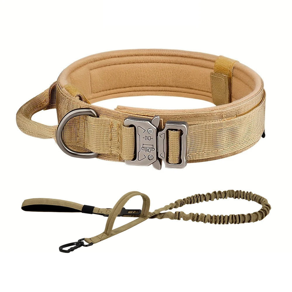 PETRAVEL Adjustable Dog Training Collar With Leash Set