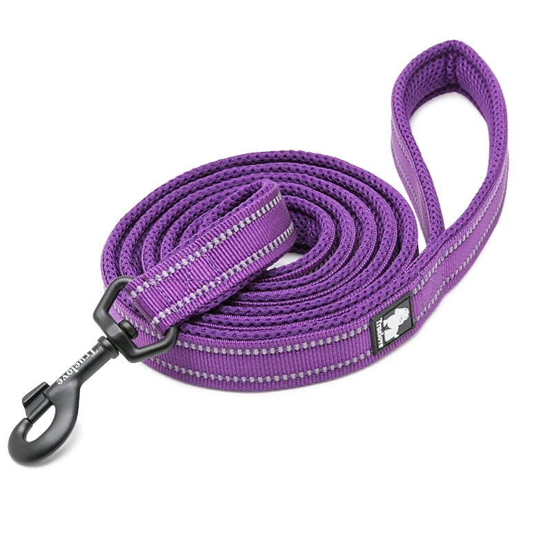 Winhyepet Padded Handle Dog Leash Durable 200cm Training Reflective