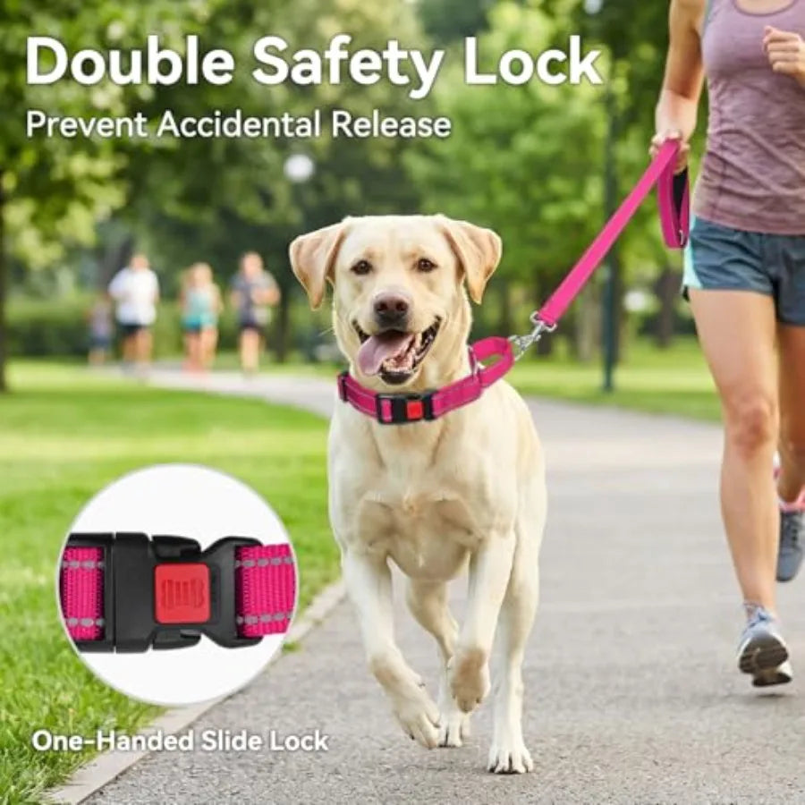 Reflective Martingale Dog Collar With Safety Lock Buckle No Slip