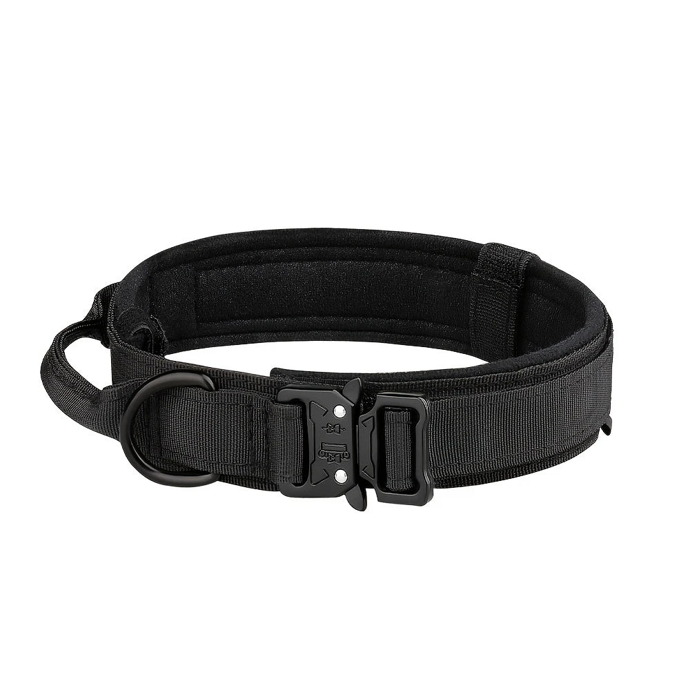 PETRAVEL Adjustable Dog Training Collar With Leash Set