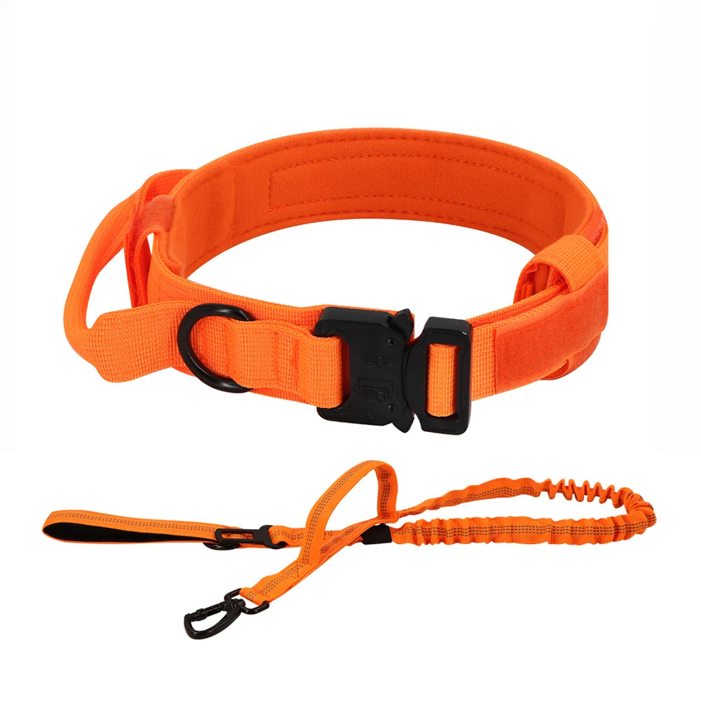 PETRAVEL Adjustable Dog Training Collar With Leash Set