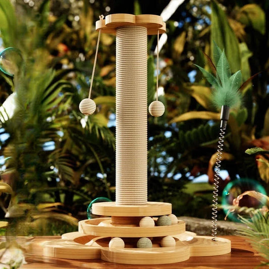 Indoor Cat Scratching Post With Teasing Wand And Ball Track
