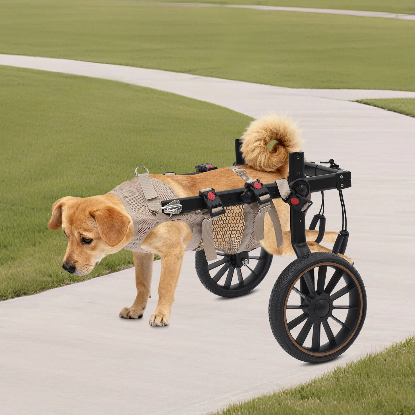 Dog Walking Aid Adjustable Wheelchair For Hind Leg Support