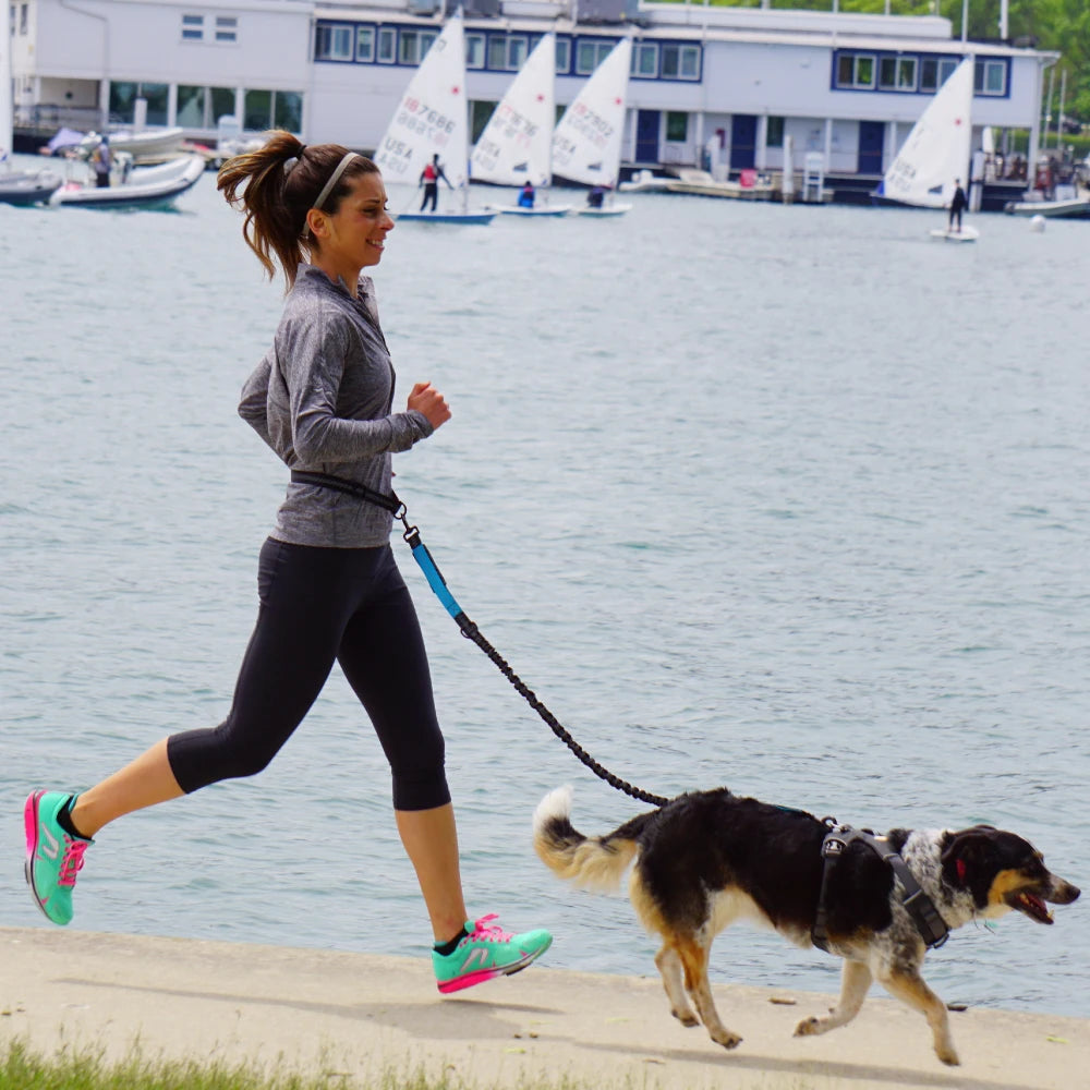 NONECN Hands Free Dog Leash Waist Belt for Walking