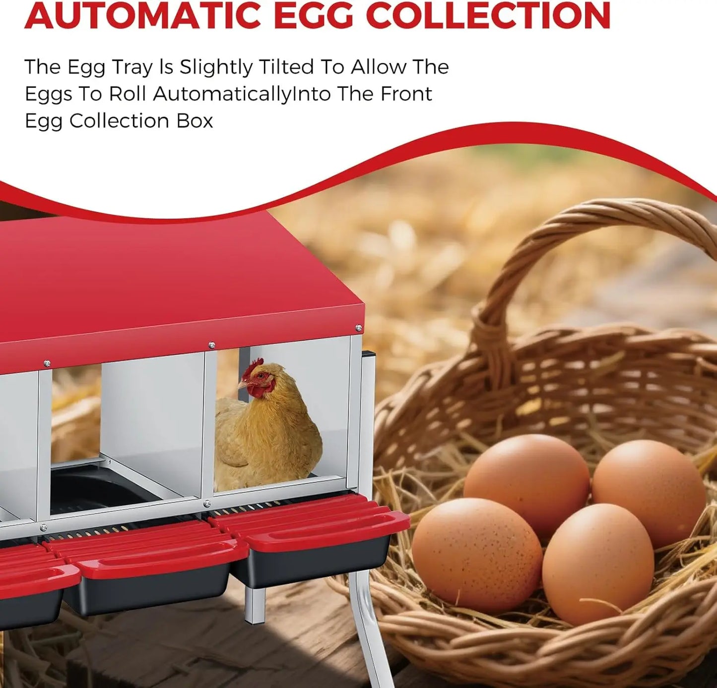 TWISTER.CK Multi Compartment Chicken Nesting Box With Automatic Egg Collection