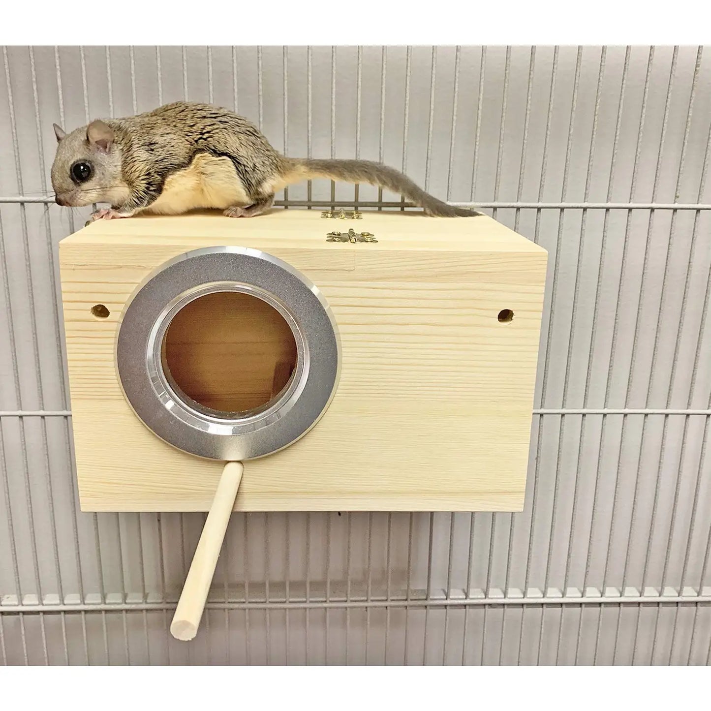 Congo Squirrel Cage Starter Kit With Durable Accessories