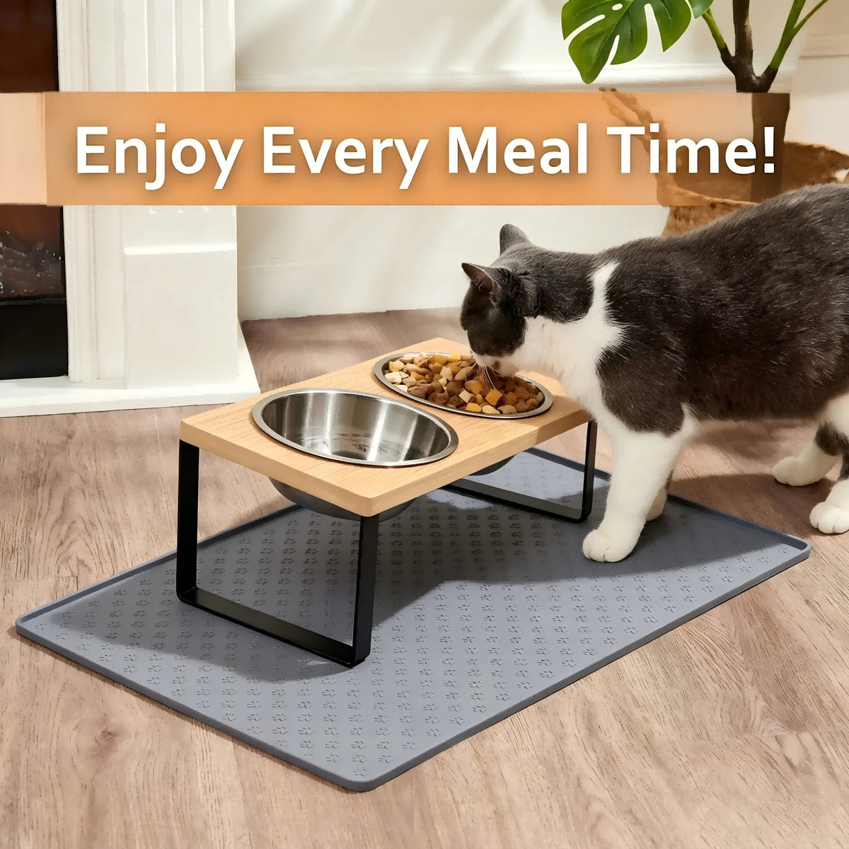 Elevated Cat Bowls With Wooden Stand Stainless Steel Feeding Set