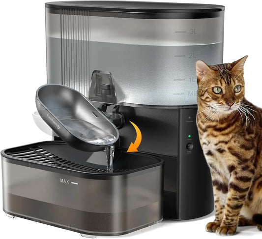 Cordless Pet Water Fountain With Wastewater Separation Stainless Steel Bowl