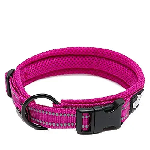 TRUELOVE CN Truelove Pet Nylon Adjustable Padded Reflective Dog Collar