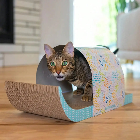 Detachable Cat Tunnel Toy With Scratching Board And Feather Toy