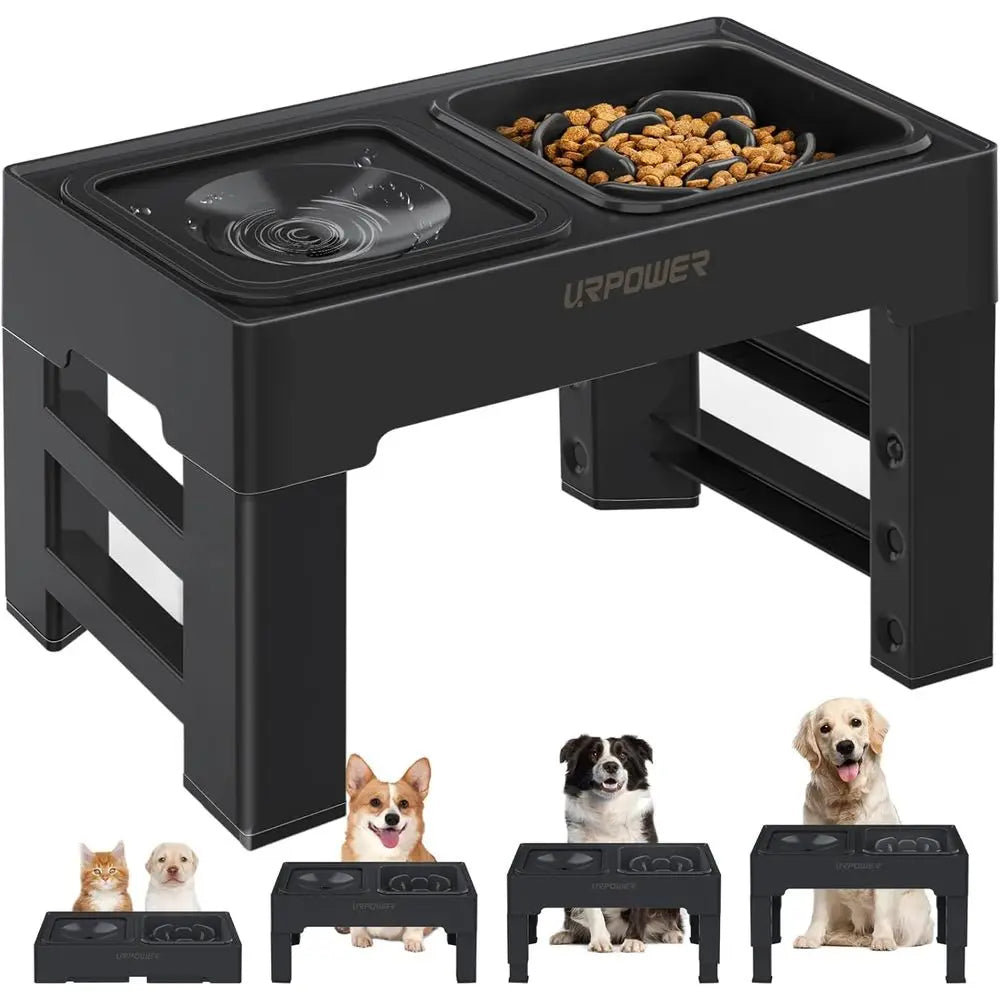 Elevated Slow Feeder Dog Bowls With No-Spill Water