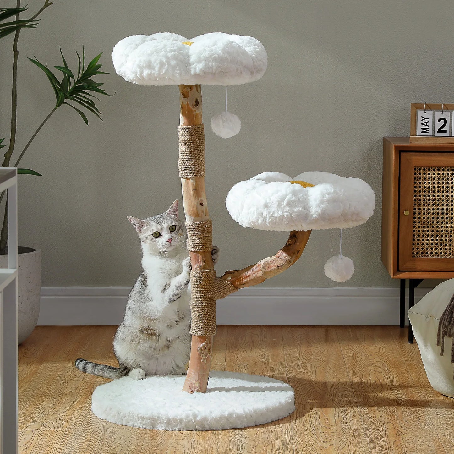 PEQULTI Solid Wood Cat Tree with Spacious Condo and Perches