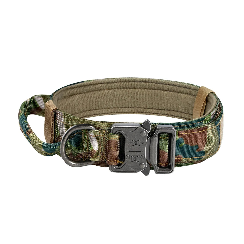 PETRAVEL Adjustable Dog Training Collar With Leash Set