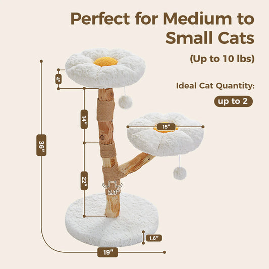 PEQULTI Solid Wood Cat Tree with Spacious Condo and Perches