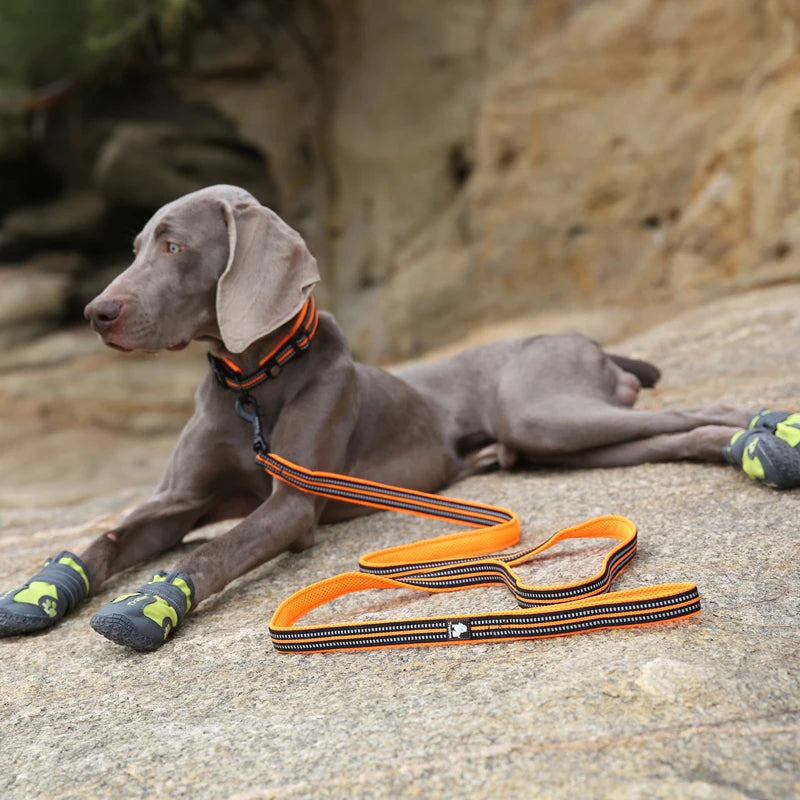 Winhyepet Padded Handle Dog Leash Durable 200cm Training Reflective