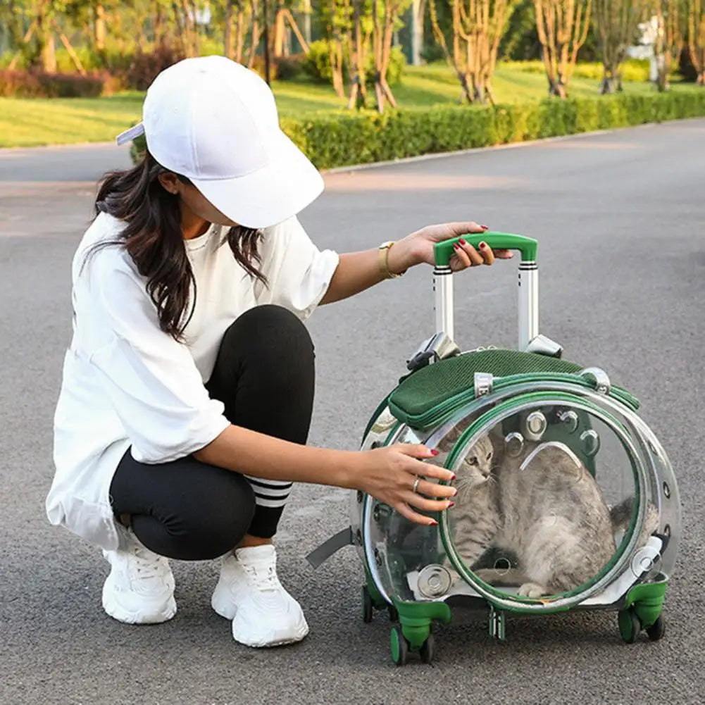 Transparent Pet Travel Carrier Trolley Case With Silent Wheels