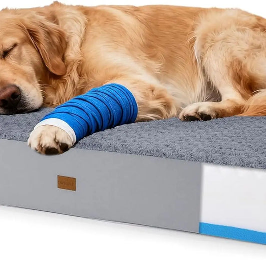 Orthopedic Dog Bed With Double Memory Foam Waterproof Cover
