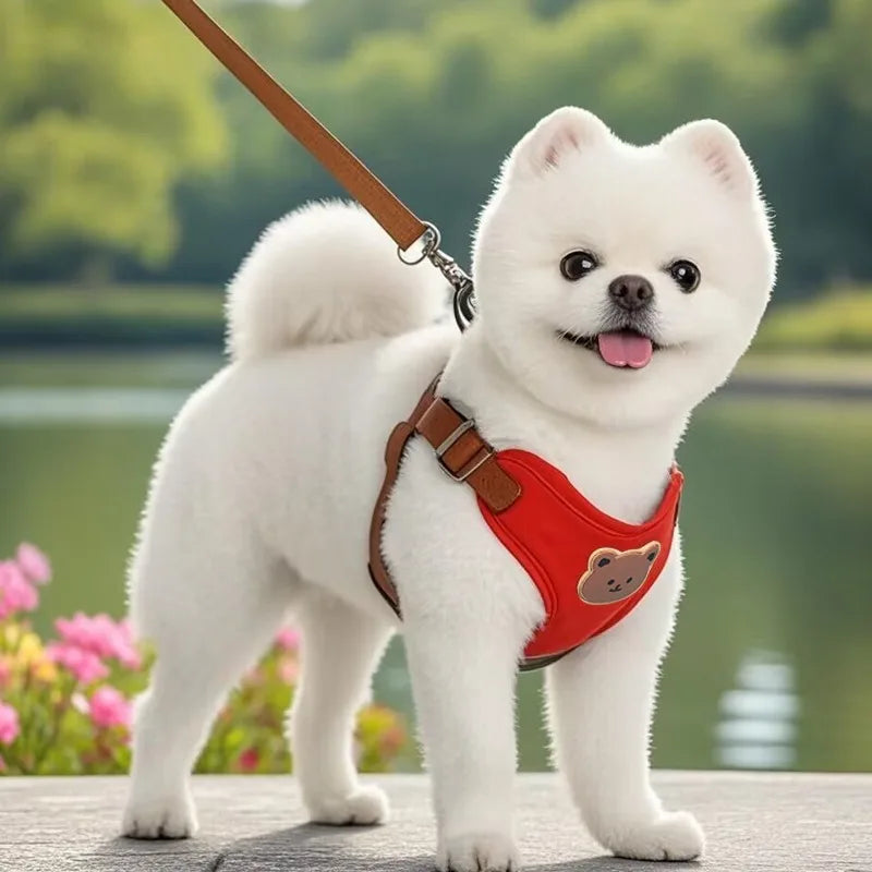 Pet Dog Harness Leash Set Breathable Vest Chest Strap Dogs