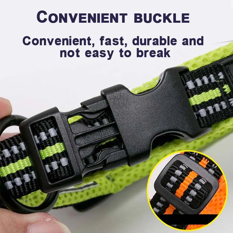 Winhyepet Padded Nylon Dog Collar With Reflective Trim And Buckle