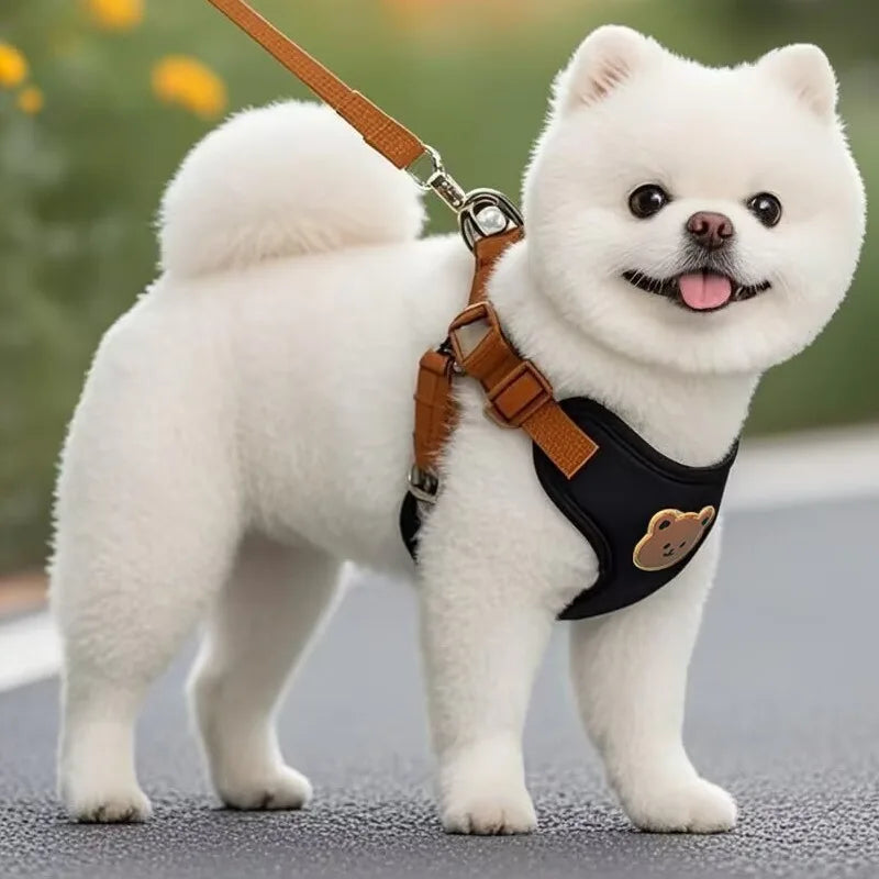 Pet Dog Harness Leash Set Breathable Vest Chest Strap Dogs