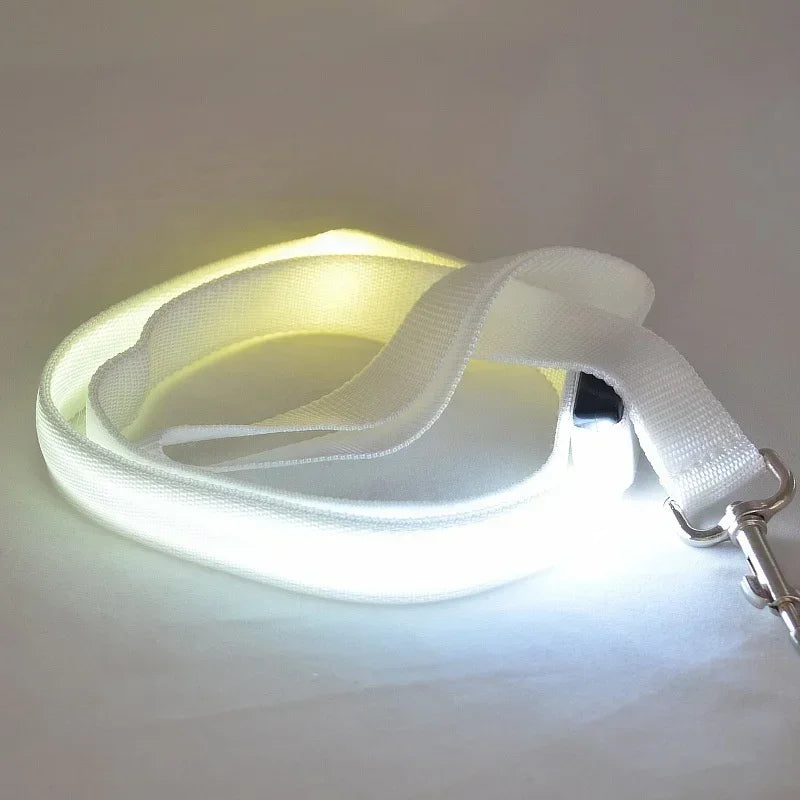 Flashing LED Dog Leash And Harness With Glowing Safety Light