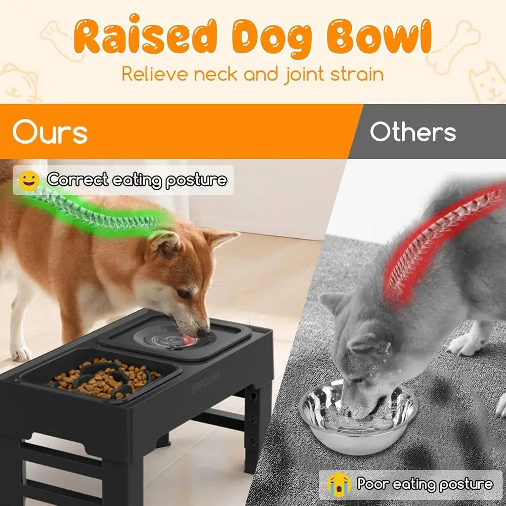 Elevated Slow Feeder Dog Bowls With No-Spill Water
