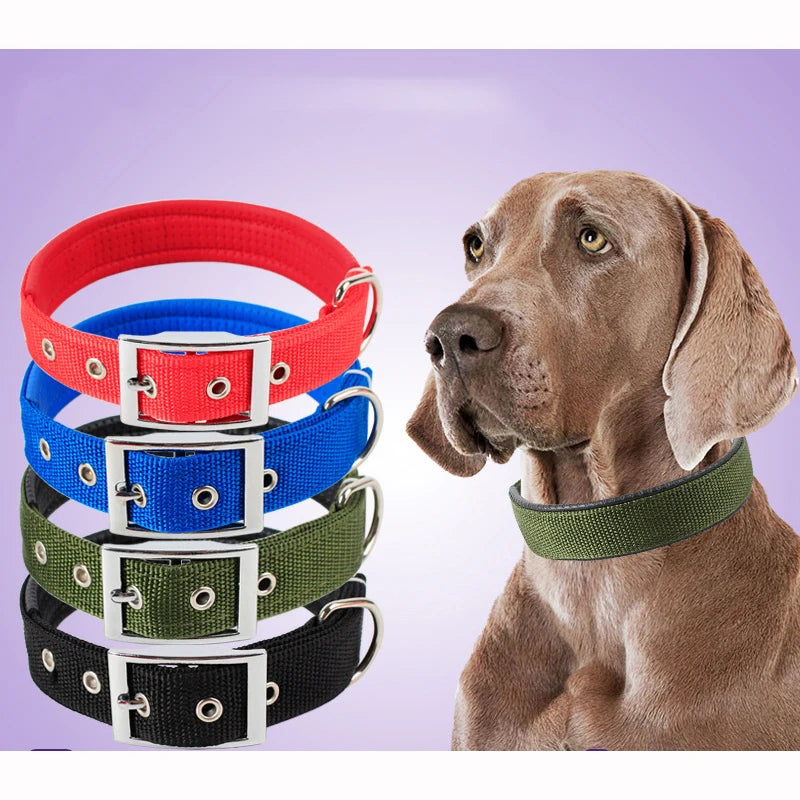Durable Breakaway Nylon Dog Collar For Pet Walking