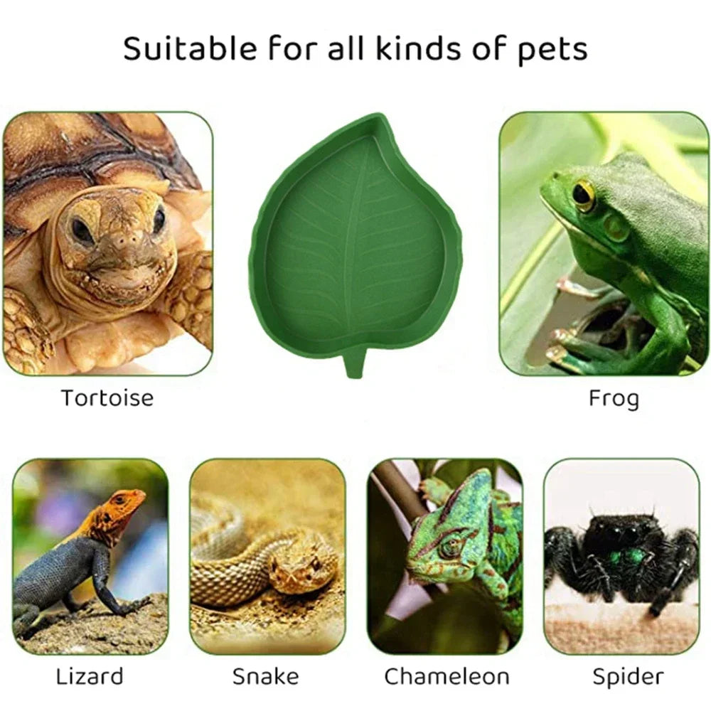 Leaf Shape Reptile Feeder Food Water Bowl