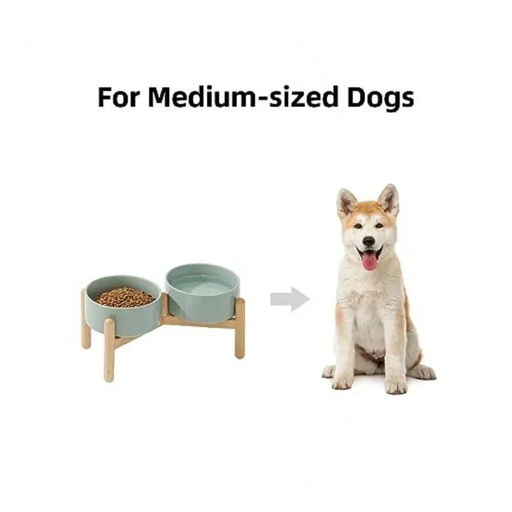 Raised 6.1 Inch Dog Bowl With Stand For Small And Medium Dogs