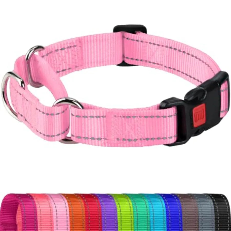 Reflective Martingale Dog Collar With Safety Lock Buckle No Slip
