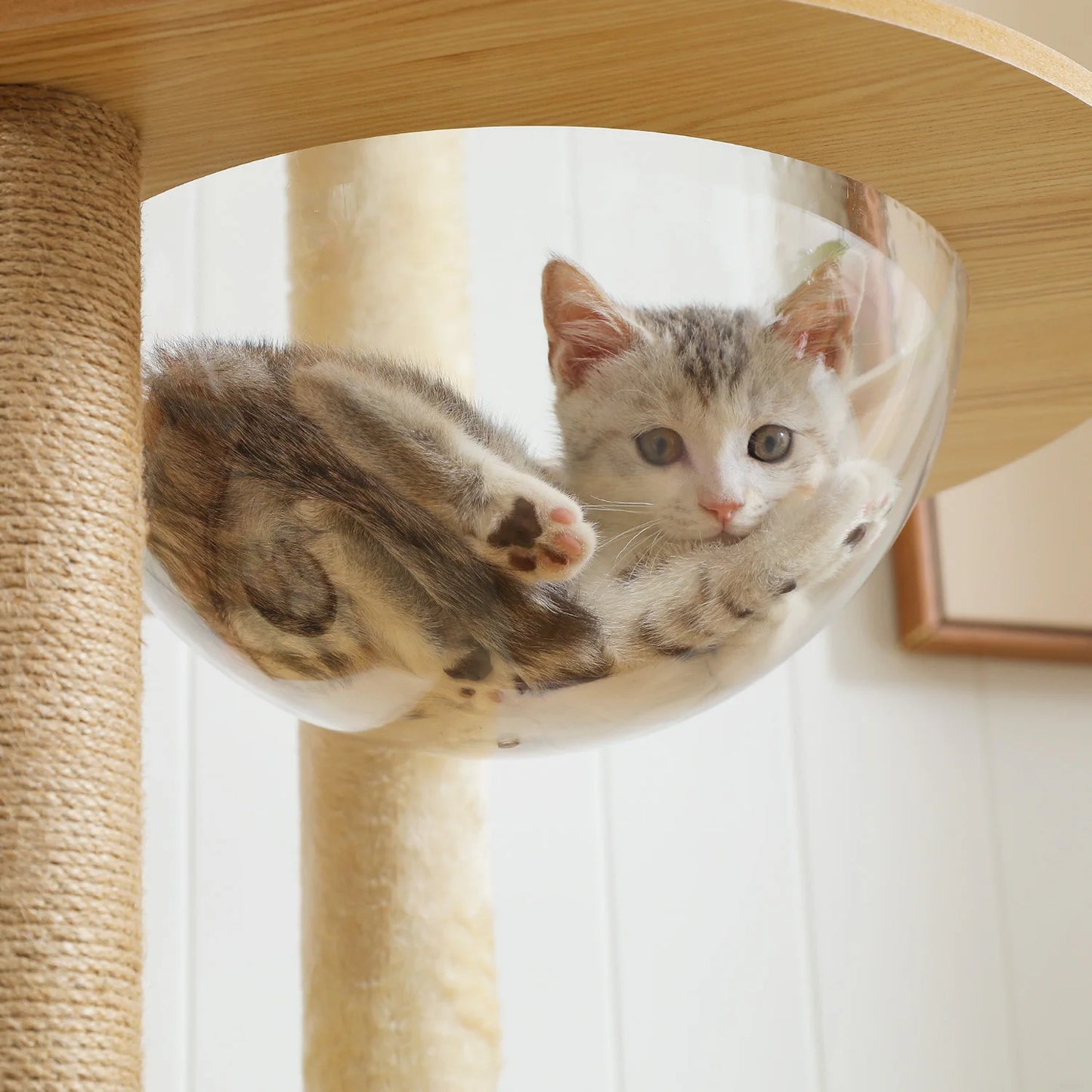 PAWZ Ro Multi-Level Cat Tree Scratching Posts Indoor Tower