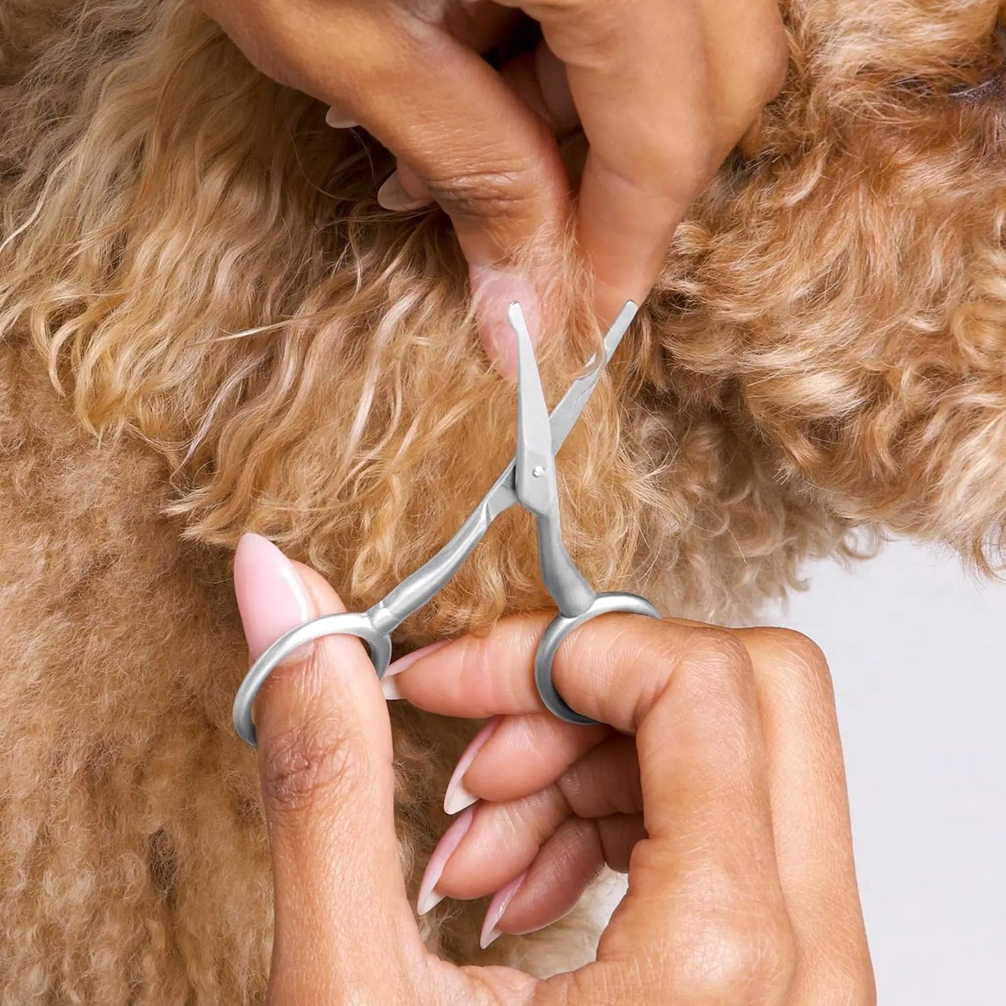 Pet Grooming Scissors With Stainless Steel Rounded Tips For Pets