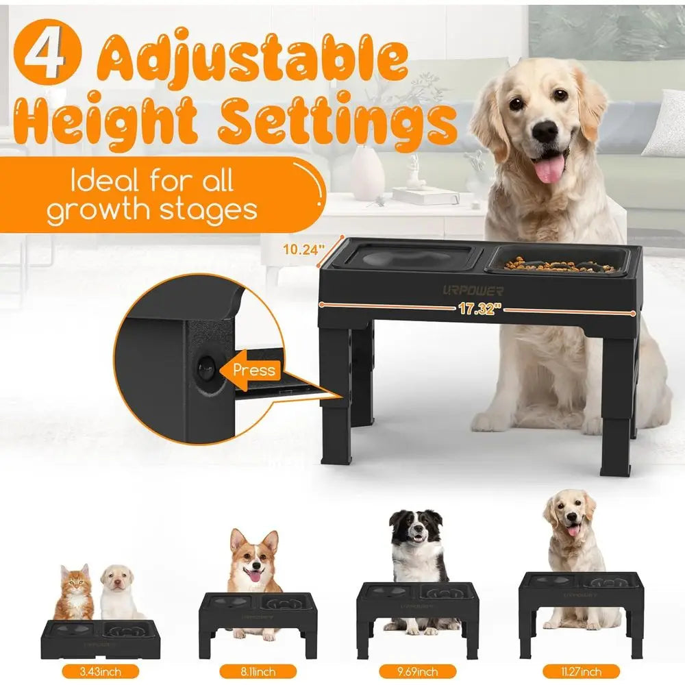 Elevated Slow Feeder Dog Bowls With No-Spill Water